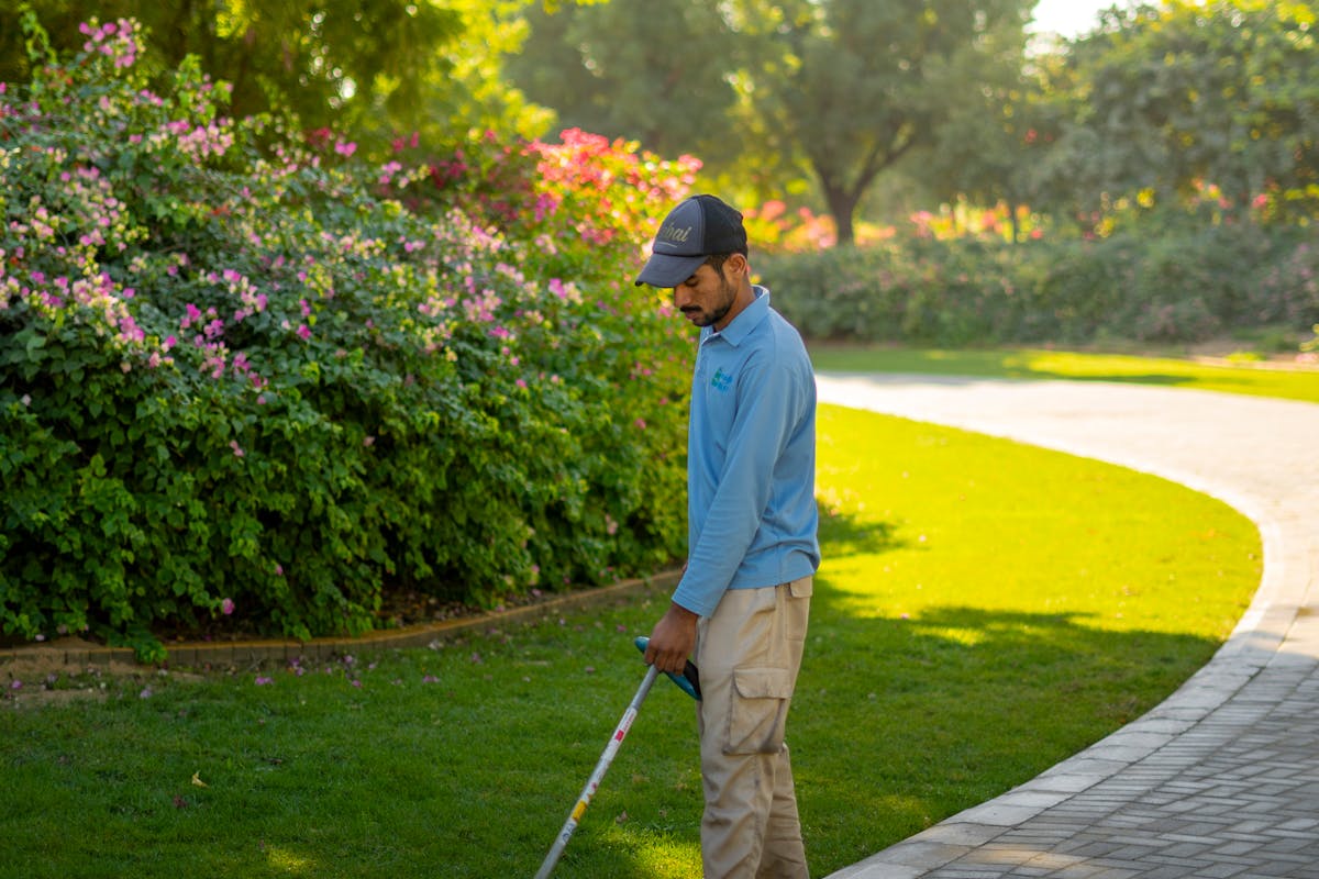 Jardin paysagé entretenu à Nice